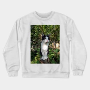 Robby the cat Crewneck Sweatshirt